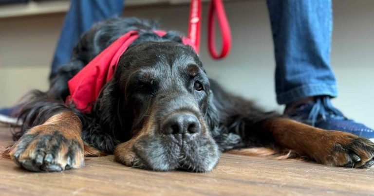 Sharwood top of the world after new record