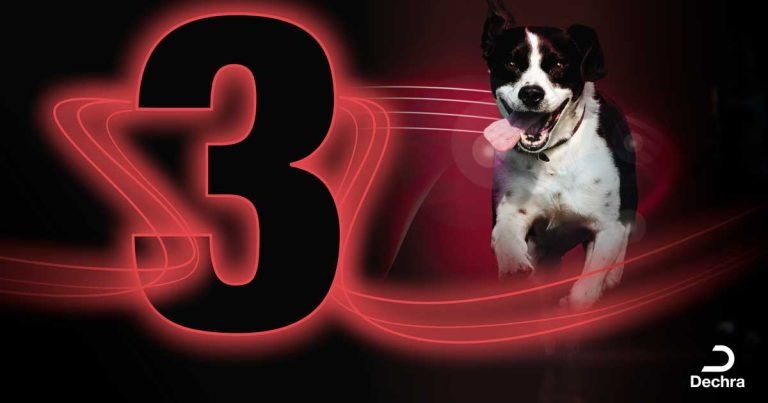 Dechra webinar gives vets chance to learn three things about Cushing’s