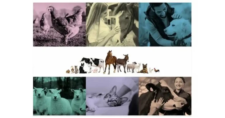 AMTRA announces plans for national SQP week in 2026