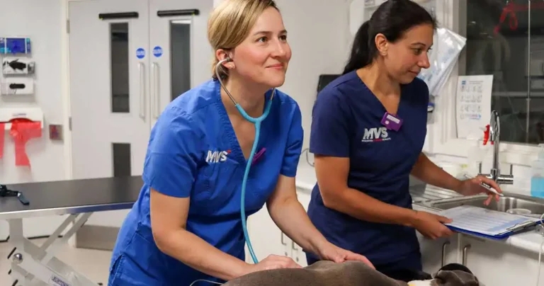 CVS training days promote evidence-based vet nursing