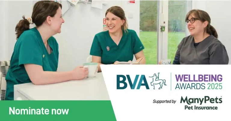 BVA Wellbeing Awards 2025 are now open