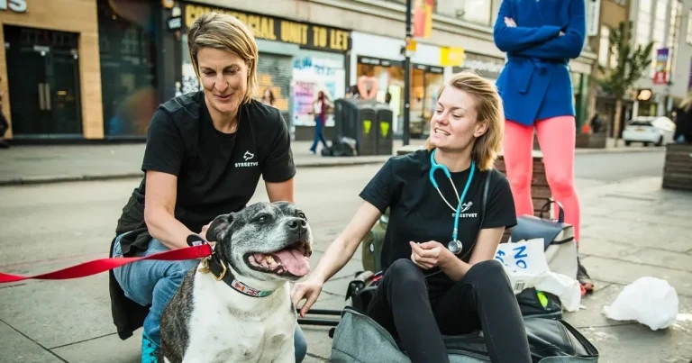 CVS launches StreetVet charity partnership