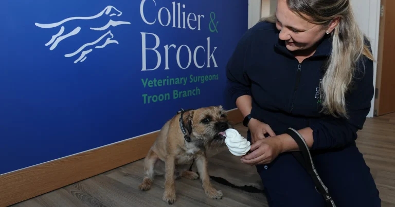 £800k project tees up bright future for Troon practice