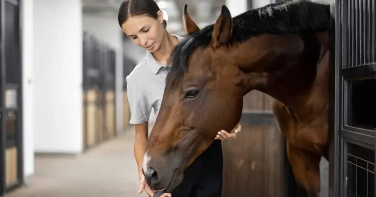 Human health hazards of vet medications – pergolide