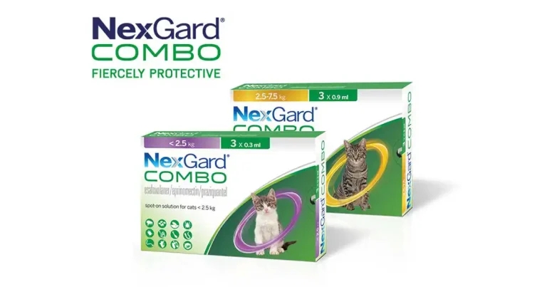 Ready to get fiercely protective?