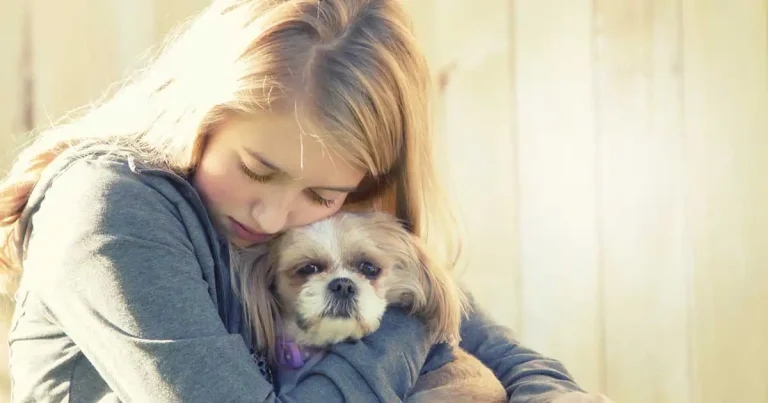 Can dogs help with teenage anxiety?