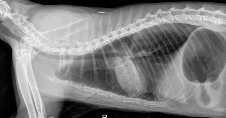 Spotlight on outpatient imaging: the why, when, what and wherefore