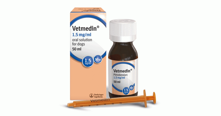 Vetmedin Oral Solution expands canine heart disease treatment options