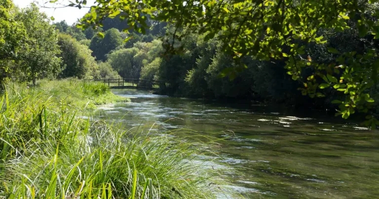 Government group unveils new parasiticide action plan