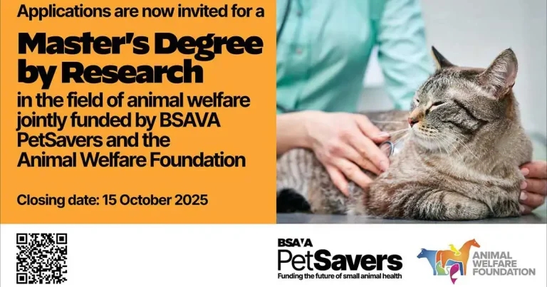 Applications open for animal welfare master’s degree research grant
