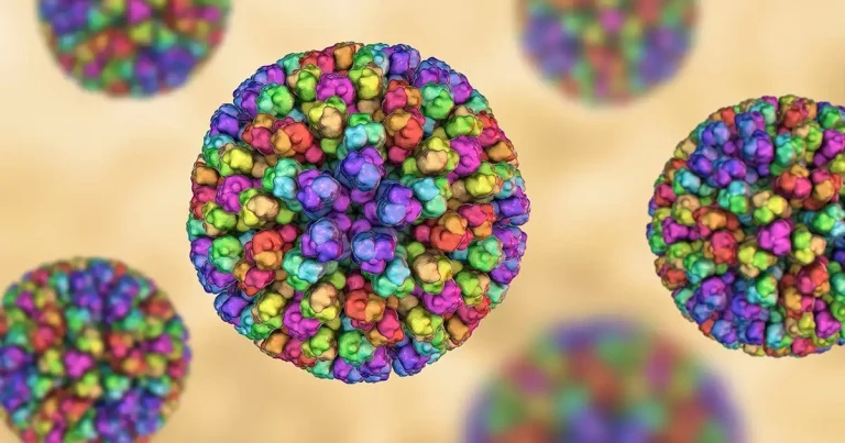 Scottish minister slams bluetongue zone increase