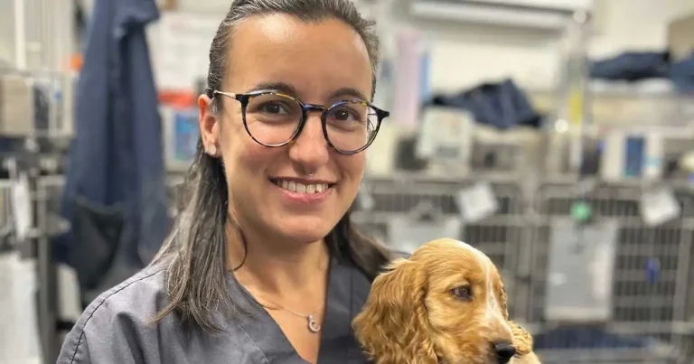 Vet calls for more uptake after stem cells donation