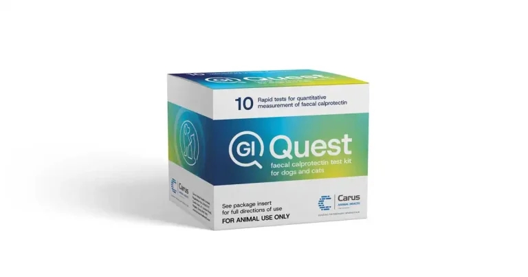 New test for cat and dog GI disease launches