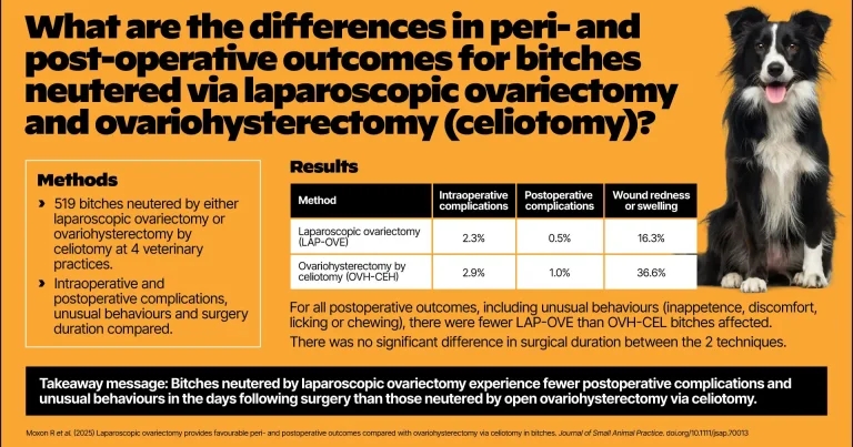 Fewer complications with laparoscopic neutering than open surgery – study
