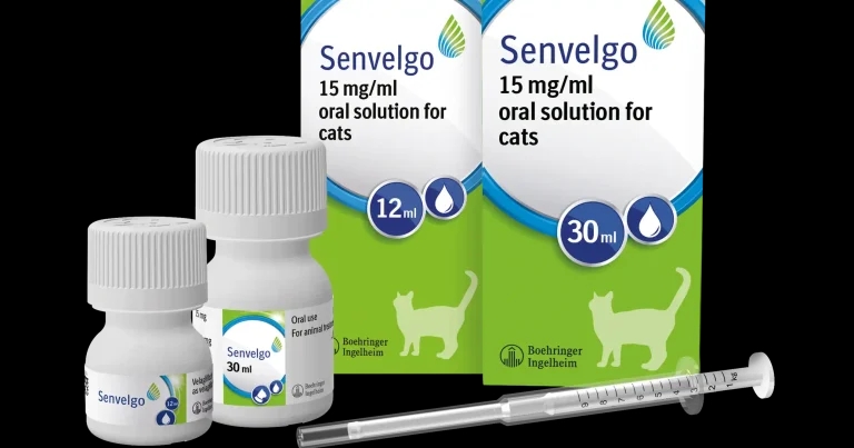 Boehringer unveils smaller bottle for diabetic cat solution