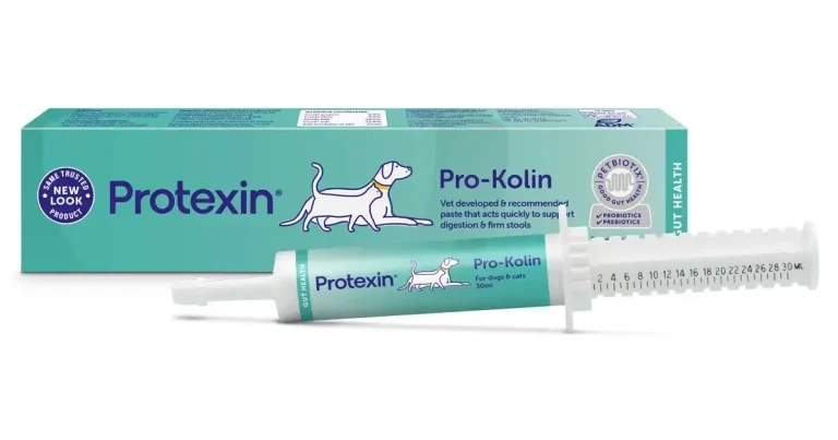 Digestive health resource for pet owners launches