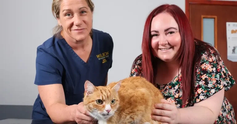 Vet hails Garfield’s lucky escape