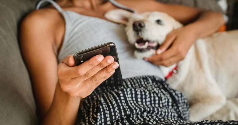 Digital vaccination certificate app now live