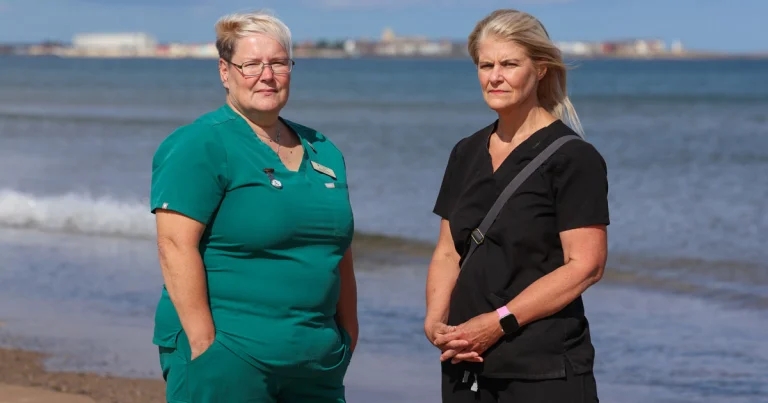 Common seal population at risk from mouth rot surge, vets fear