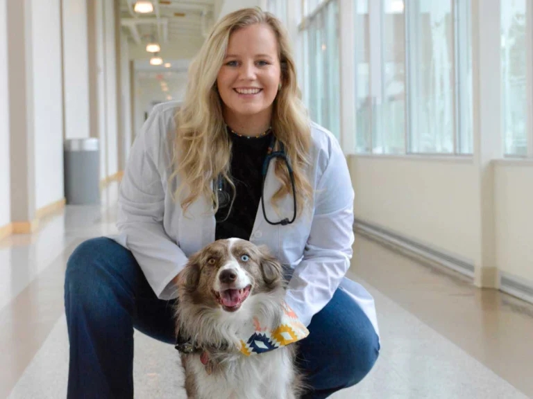 Dechra opens vet scholarship programme