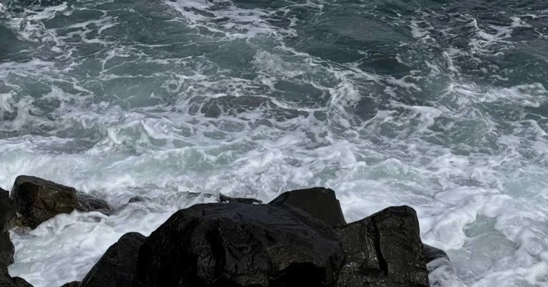 City Vets: Matt takes a breather