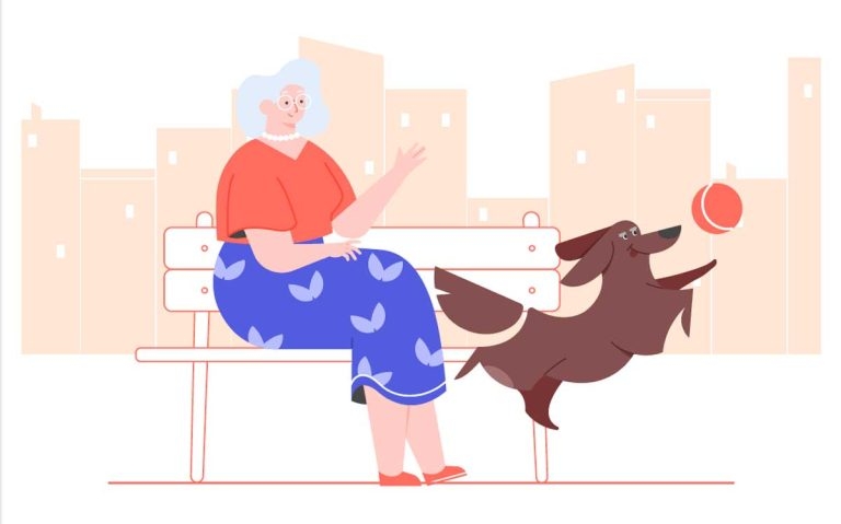 Teaching an old dog new tricks: using tech to support senior pets