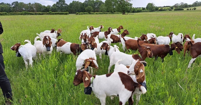 Round up of summer congress