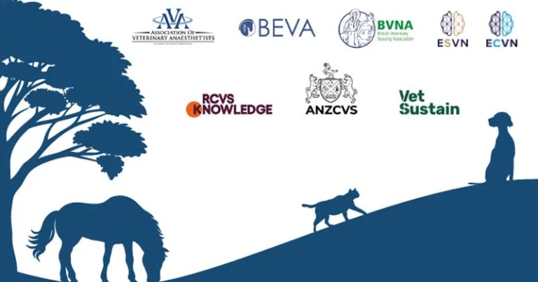 New sustainable surgery guide unveiled