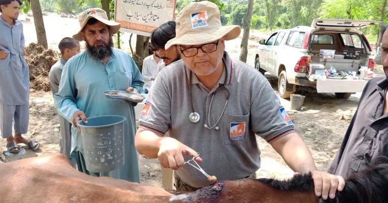 Charity appeal as emergency vet work launches after Pakistan floods