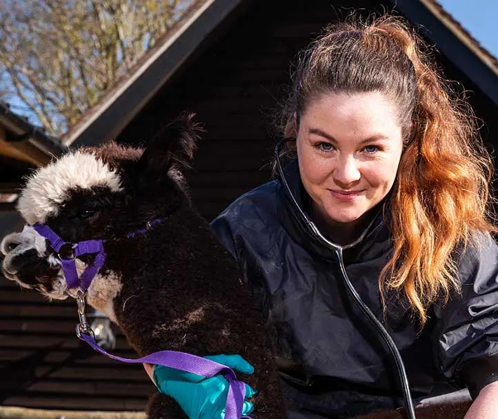 Clawing back human connection in an animal-centric profession