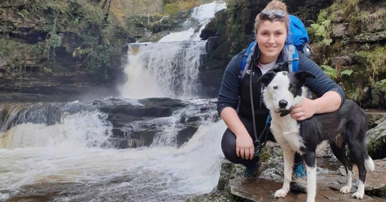 BVA announces 2025 Young Vet of the Year finalists