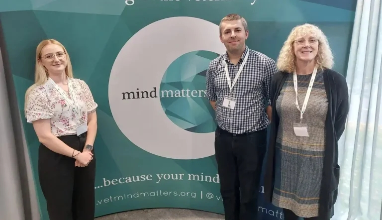 MMI funding awarded to SVN and workplace well-being projects