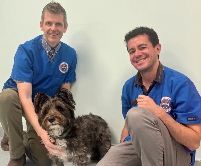 Royal Dick granted behavioural medicine residency approval