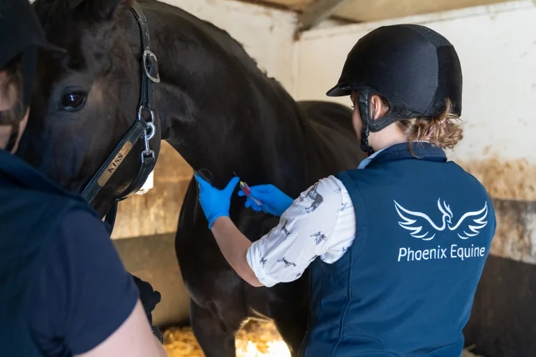 Vet group launches five-point AMS plan