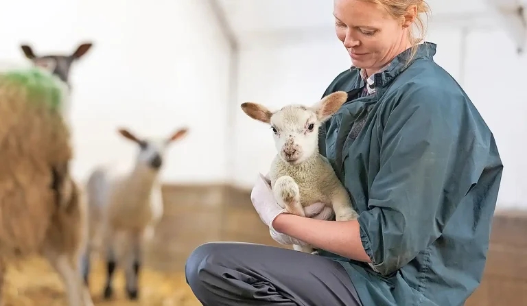 AVMA backs USDA’s rural vet action plan