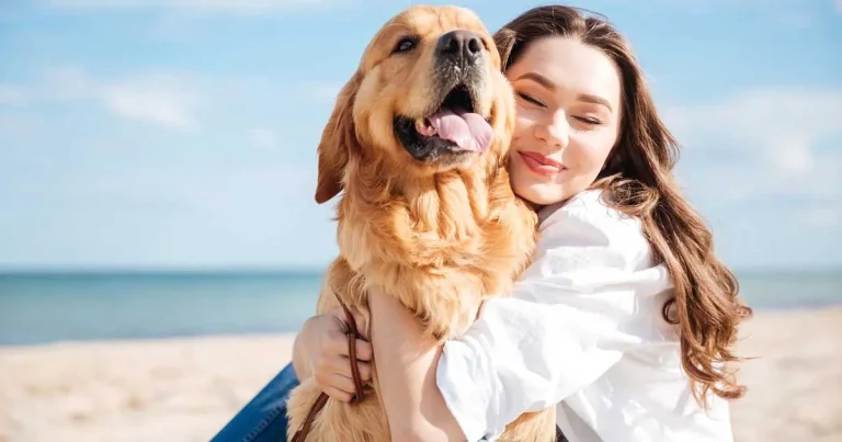 Oncology: vets’ partnership with owners to maintain quality of life