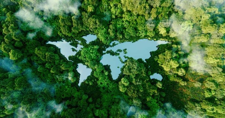 Study urges action on livestock climate ‘blind spot’