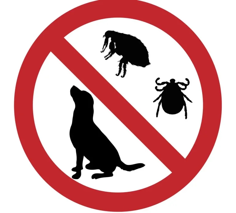 Vet groups praised for ‘proactive’ parasiticide move