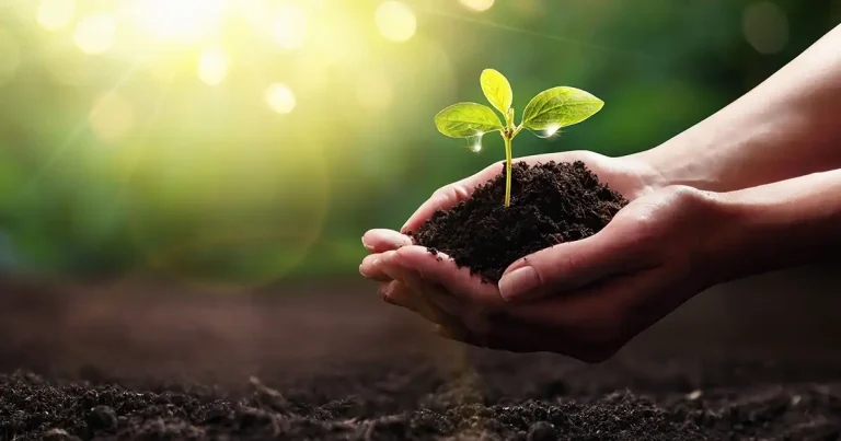 Sustainability in everyday vet practice