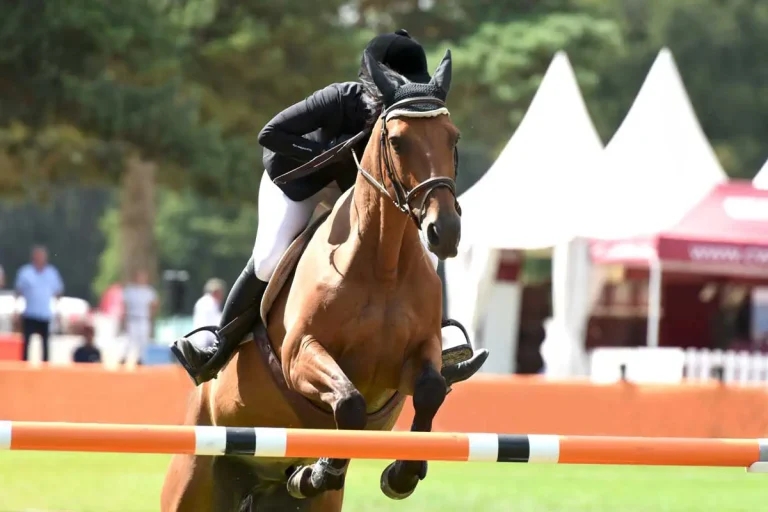 Maintaining social licence to operate: ethical issues in equestrian sport