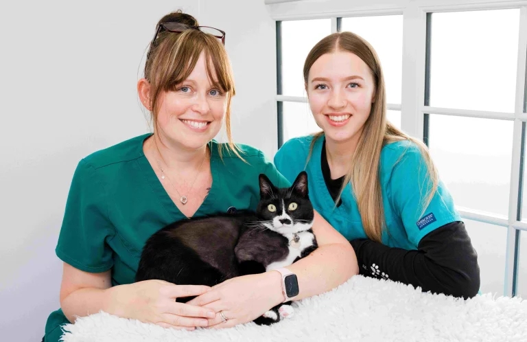 ‘Astonished’ vet team save cat after horror injury