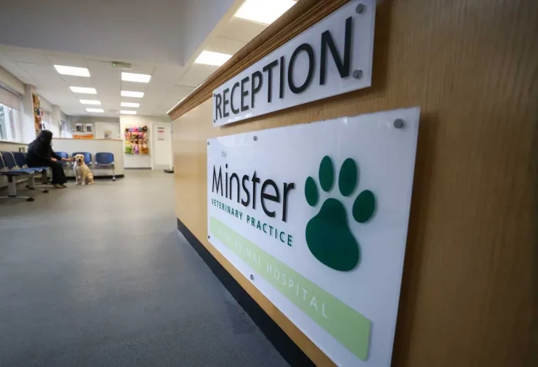 Practice Profile: The Minster Veterinary Practice