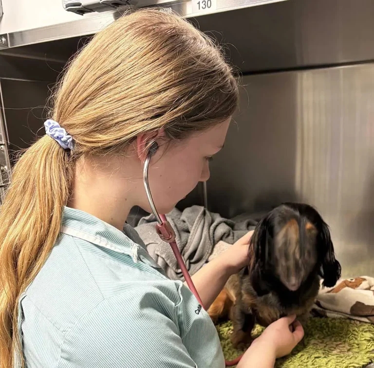 Transition to patient-focused nursing care: supporting SVNs