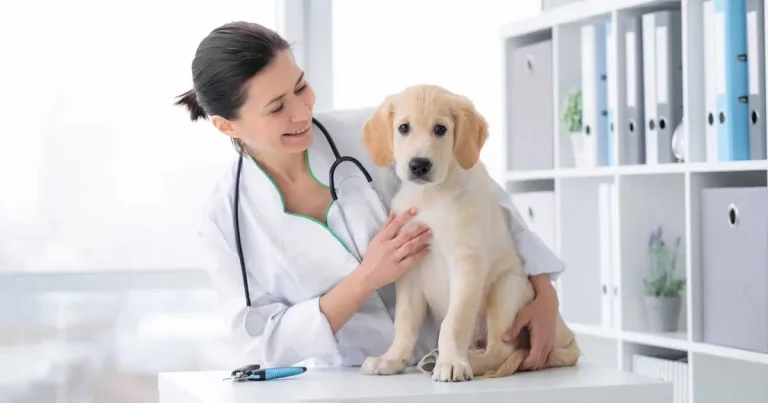 Ensuring HR compliance for atypical workers