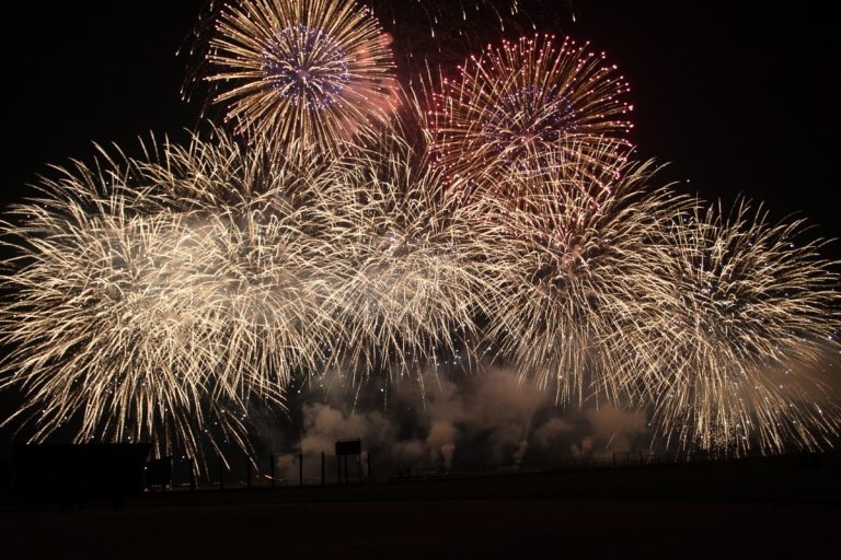Charities urge tougher firework laws