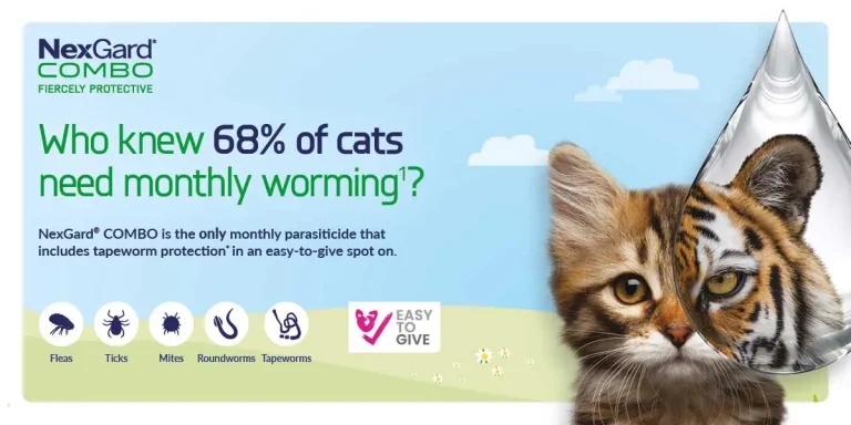 How do you know if a cat needs monthly worming?