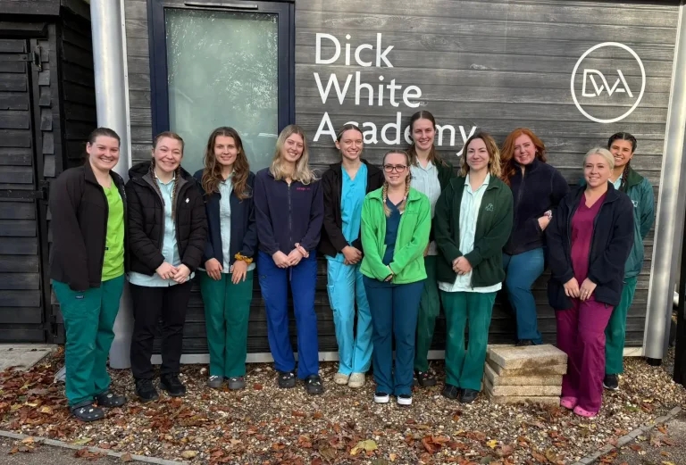 DWA ‘incredibly proud’ of VN Diploma results