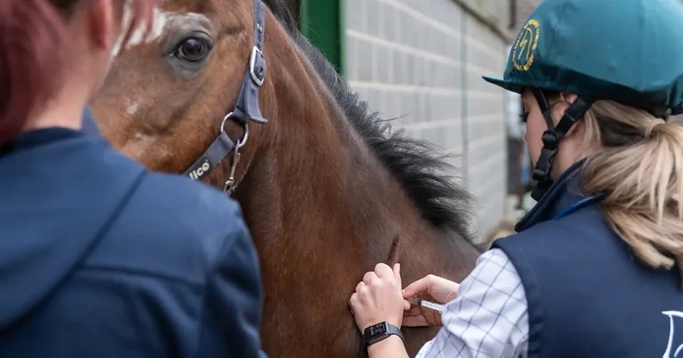 PhD project to reduce critical antibiotic use