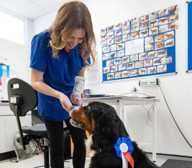 University of Liverpool obesity clinic celebrates 20 years