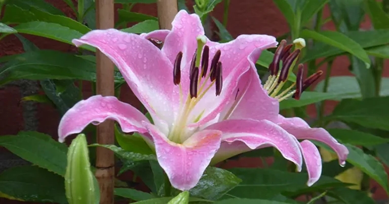 Toxicology – preparing for cases and prevention work with owners